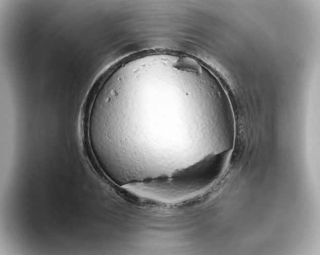 X0000093440983200710261036