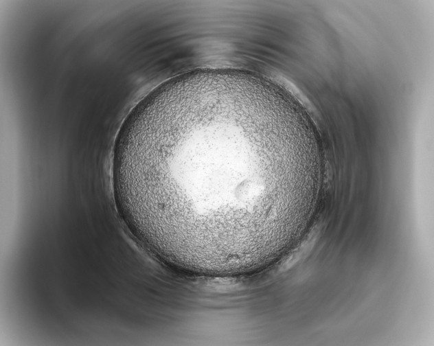 X0000093440986200710261036