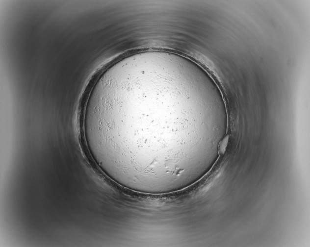 X0000093440987200710261036