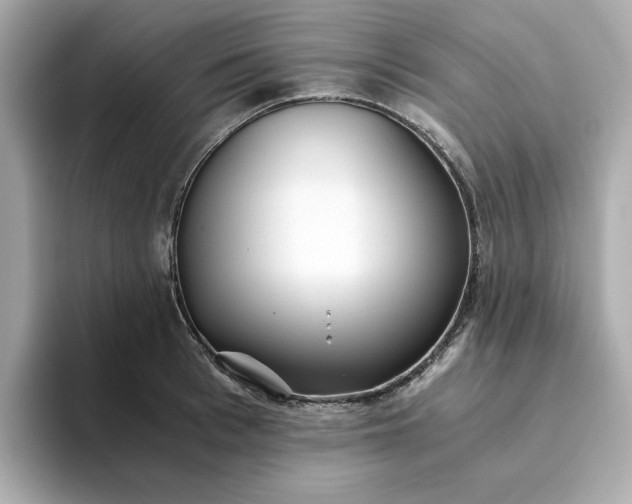 X0000093440993200710261036