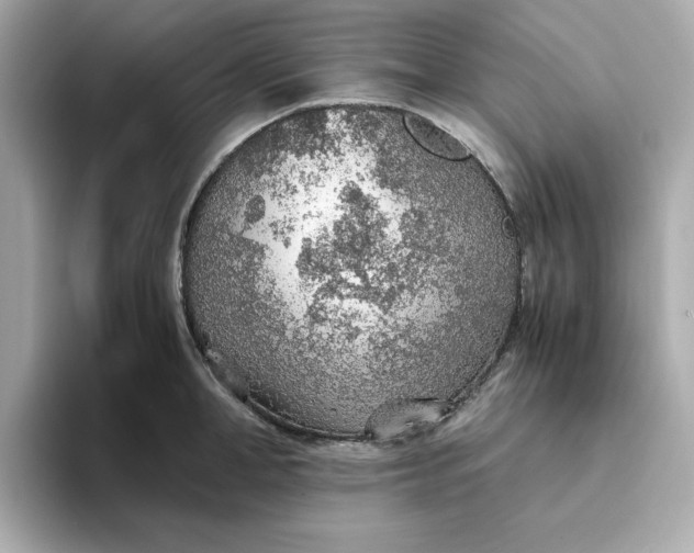 X0000093440998200710261036