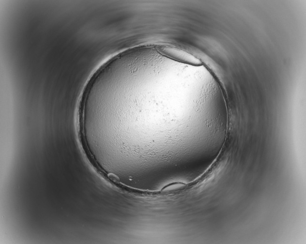X0000093440999200710261036