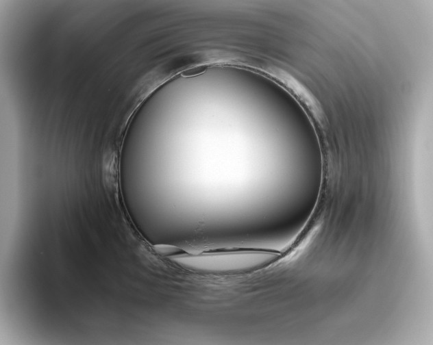 X0000093441001200710261036