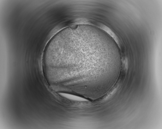 X0000093441002200710261036