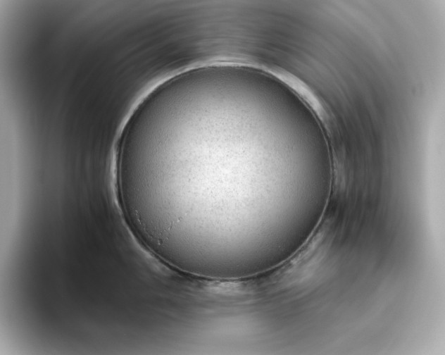 X0000093441006200710261036
