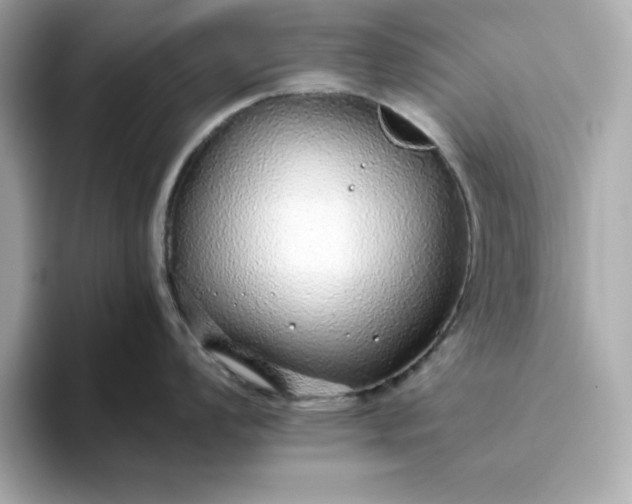 X0000093441008200710261036
