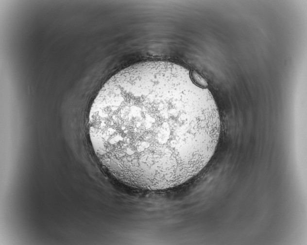 X0000093441009200710261035