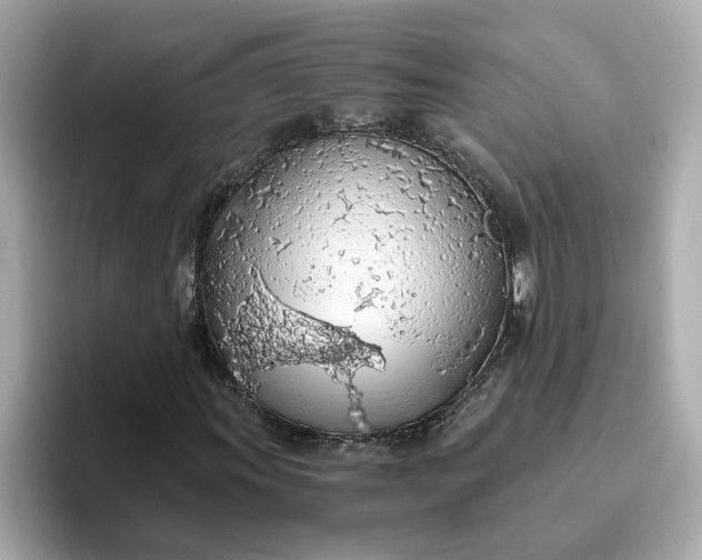 X0000093441011200710261035