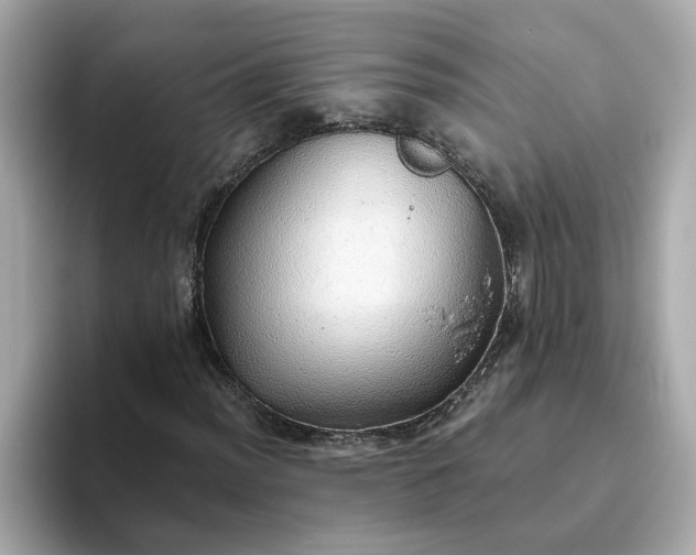 X0000093441012200710261035