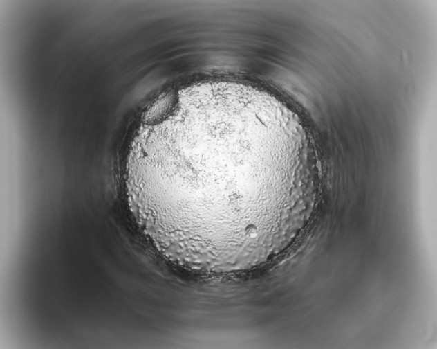 X0000093441015200710261035
