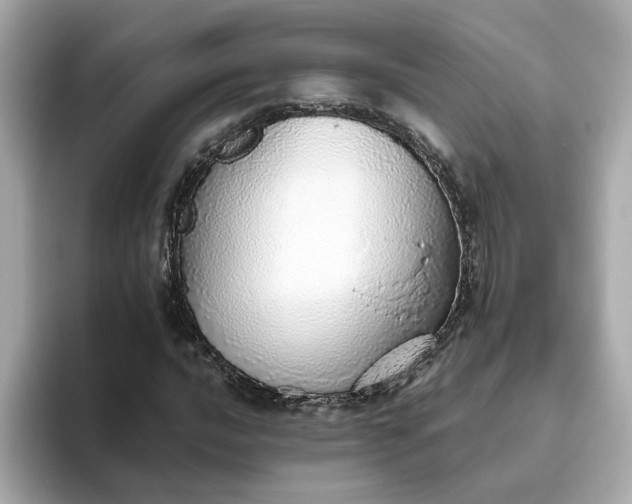 X0000093441016200710261035