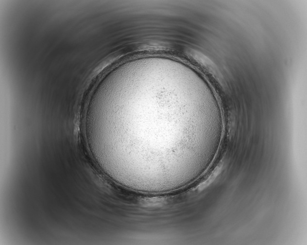 X0000093441017200710261035