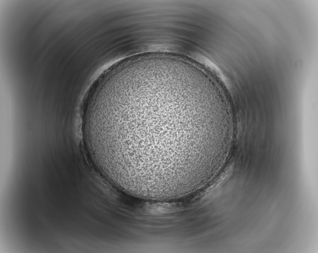 X0000093441019200710261035