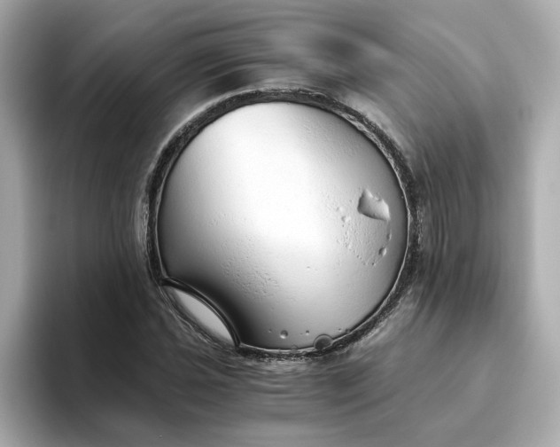 X0000093441021200710261035