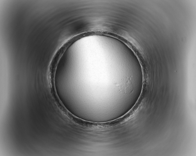 X0000093441022200710261035