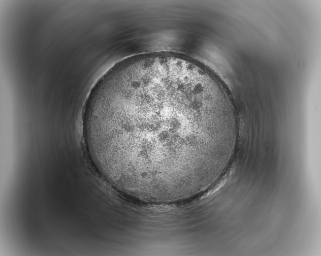 X0000093441023200710261036