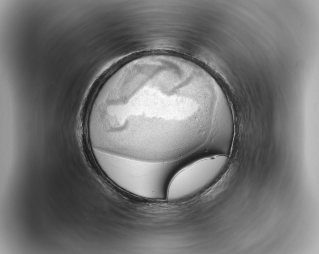 X0000093441024200710261036