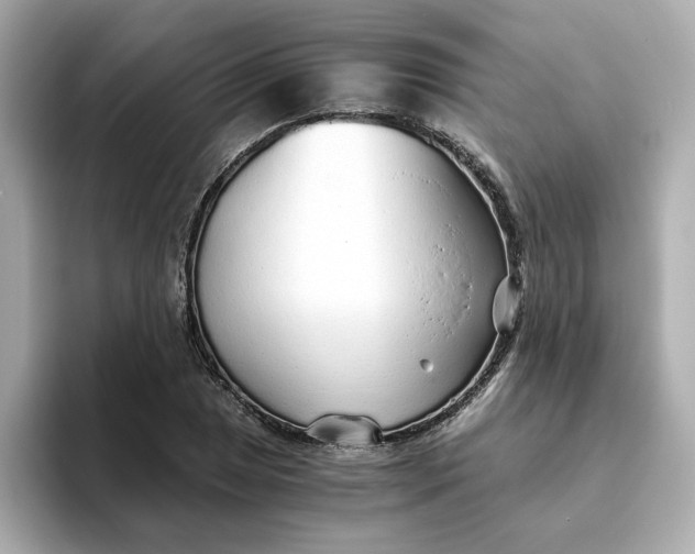 X0000093441025200710261036