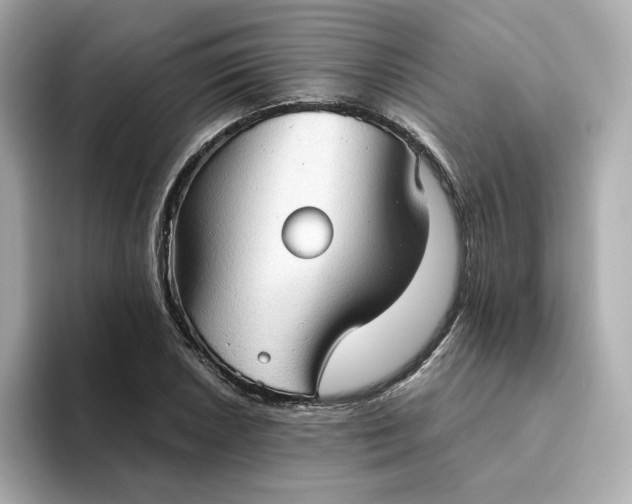 X0000093441026200710261036