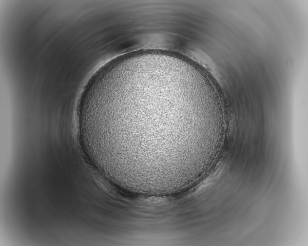 X0000093441027200710261036