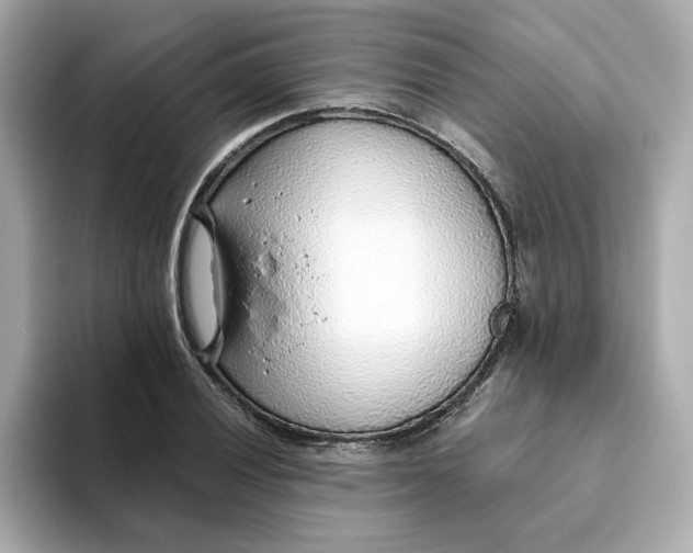 X0000093441028200710261036