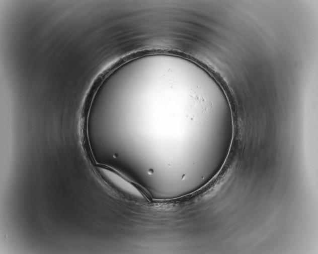 X0000093441029200710261036