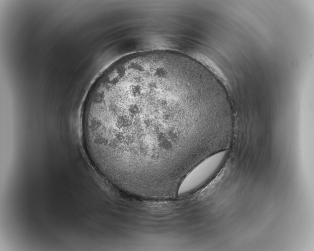 X0000093441031200710261036