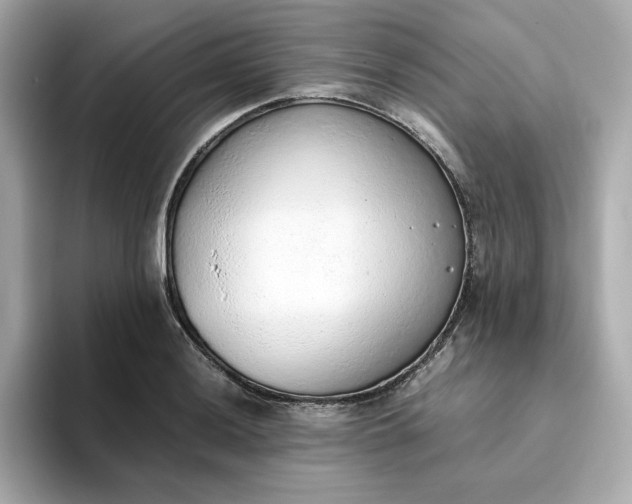 X0000093441036200710261036