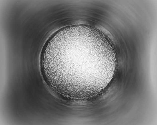 X0000093441039200710261036