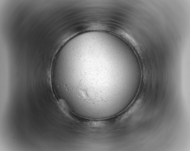 X0000093441041200710261036