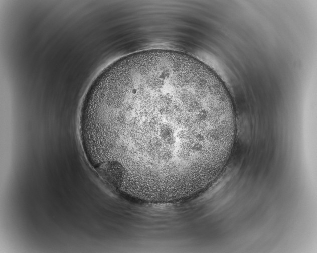 X0000093441043200710261036