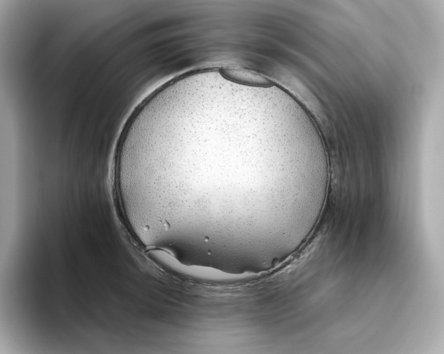 X0000093441044200710261036