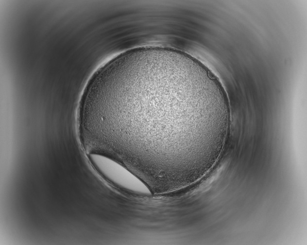 X0000093441045200710261036
