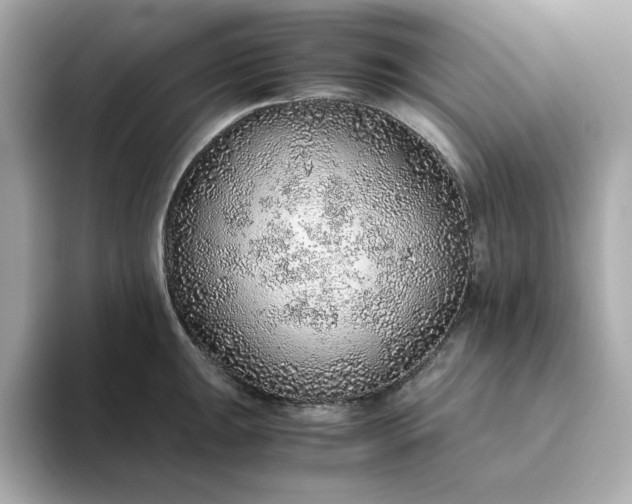 X0000093441047200710261036