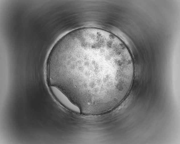 X0000093441048200710261036
