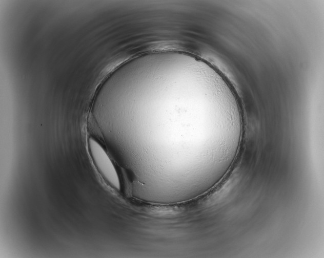 X0000093441049200710261036