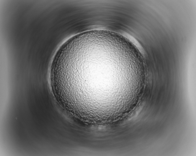 X0000093441051200710261036