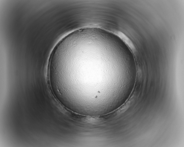 X0000093441052200710261036