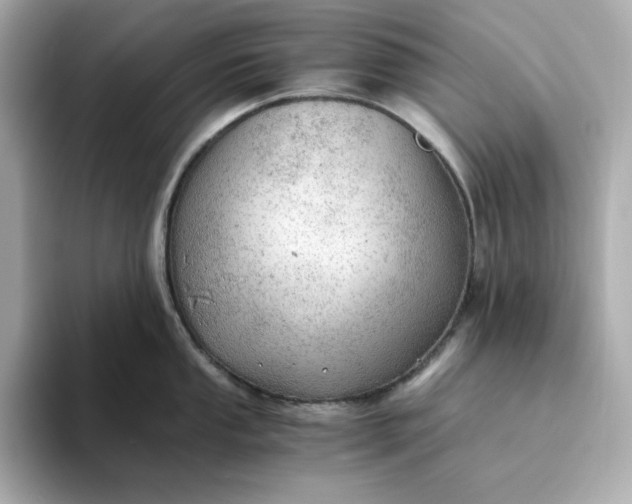X0000093441053200710261036