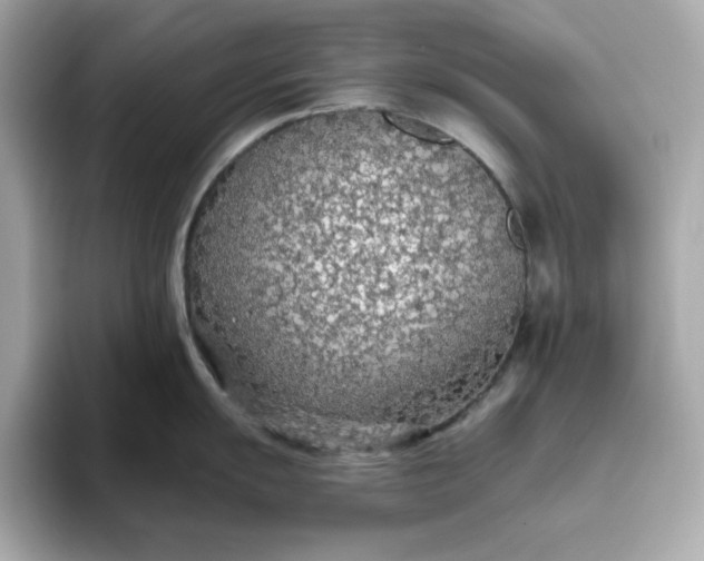 X0000093441055200710261036