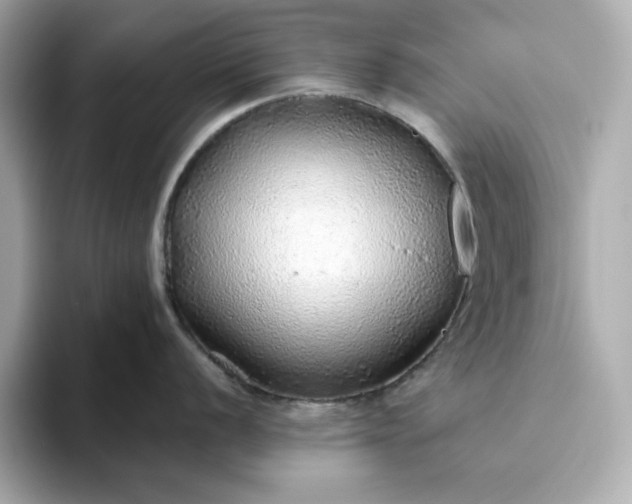 X0000093441056200710261036