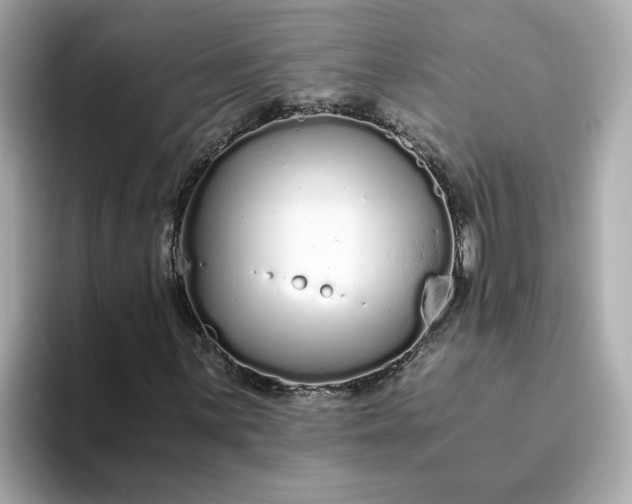 X0000093441059200710261035