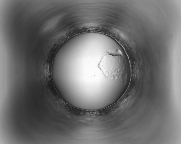 X0000093441062200710261035