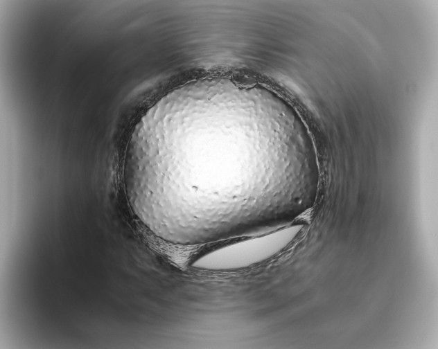 X0000093441063200710261035