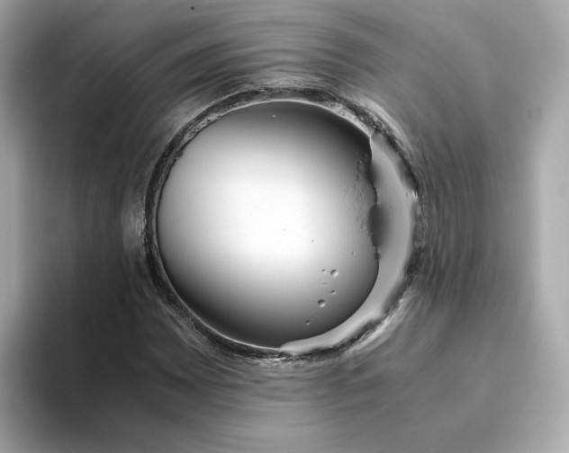 X0000093441065200710261035