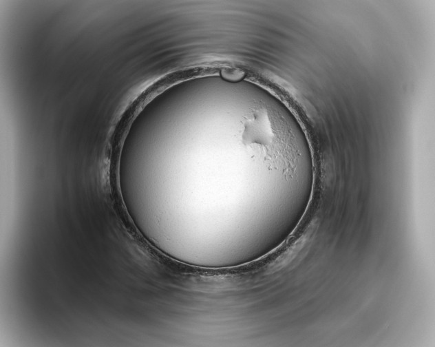 X0000093441066200710261035