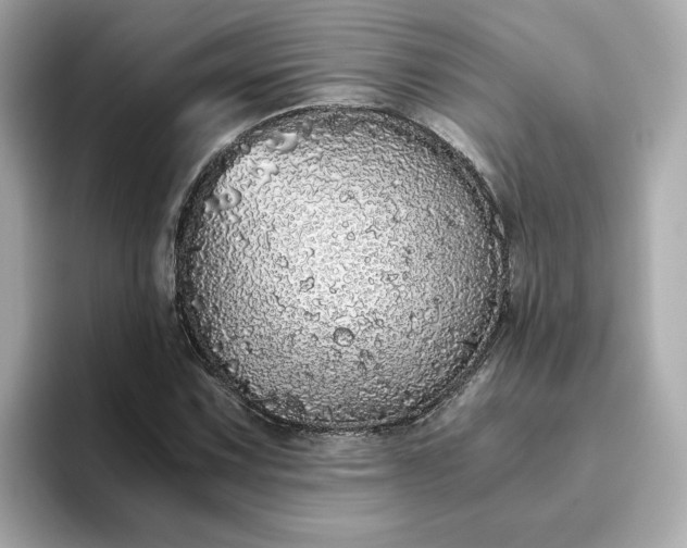 X0000093441067200710261035