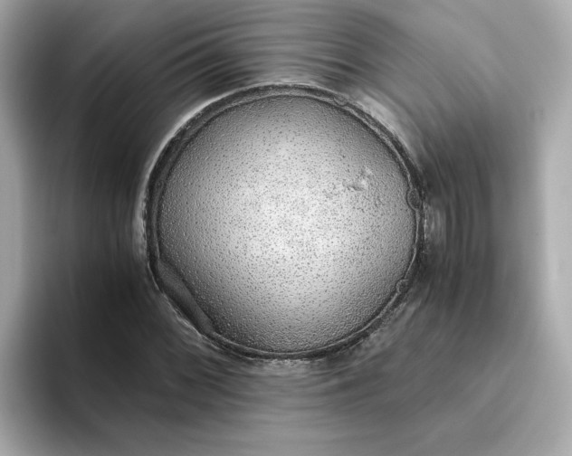 X0000093441068200710261035