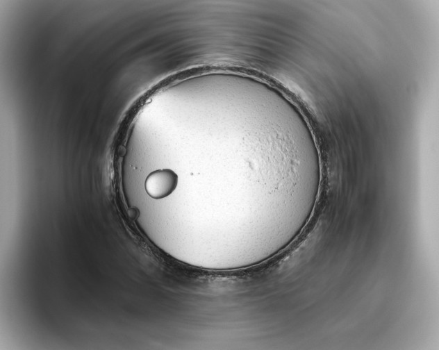X0000093441070200710261035