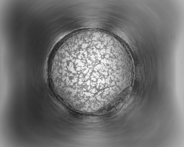 X0000093441071200710261035